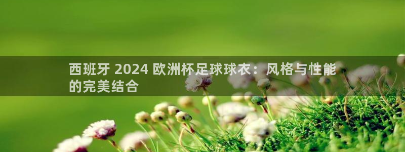 欧洲杯投注在哪找网址：西班牙 2024 欧洲杯足球球衣：风格与性能
的完美结合