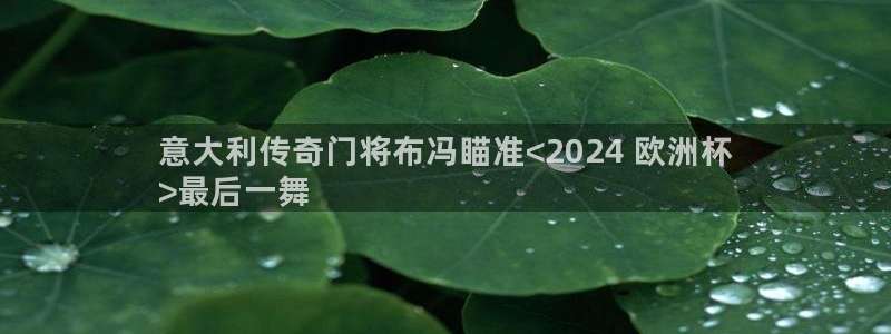 欧洲杯线上买球：意大利传奇门将布冯瞄准<2024 欧洲杯
>最后一舞