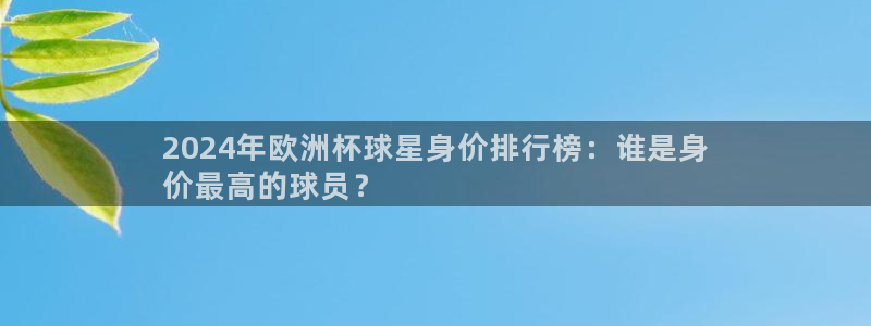 欧洲杯投注入口官网|2024年欧洲杯球星身价排行榜：谁是身
价最高的球员？