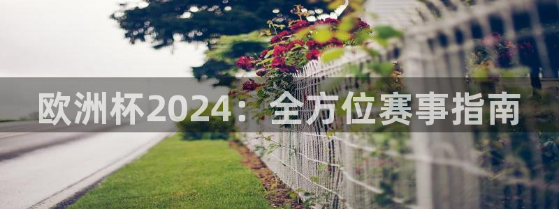 欧洲杯官网|欧洲杯2024：全方位赛事指南