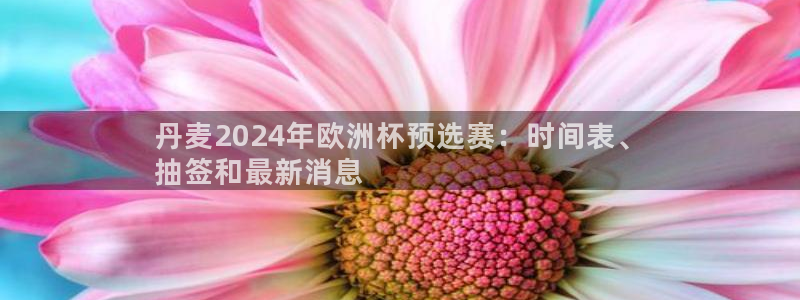 欧洲杯下单平台官方网站|丹麦2024年欧洲杯预选赛：时间表、
抽签和最新消息