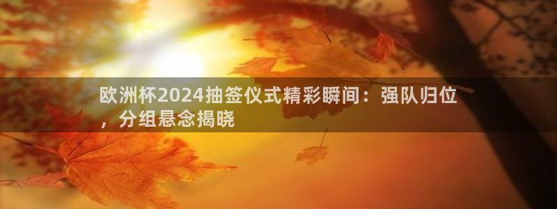 欧洲杯买球网|欧洲杯2024抽签仪式精彩瞬间：强队归位
，分组悬念揭晓