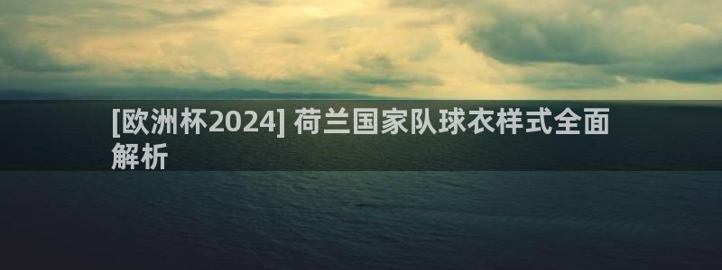 欧洲杯指定投注网站|[欧洲杯2024] 荷兰国家队球衣样式全面
解析