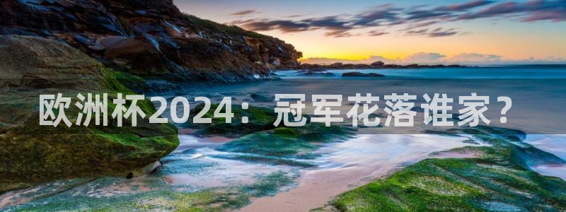 2024正规欧洲杯平台