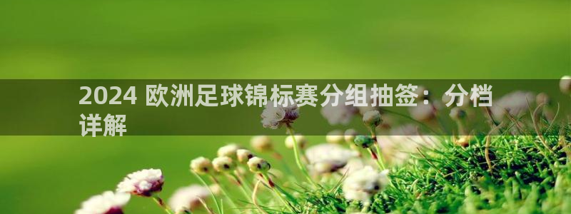 欧洲杯指定投注网站|2024 欧洲足球锦标赛分组抽签：分档
详解